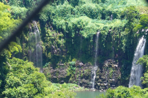 carpe diem ngo balfour