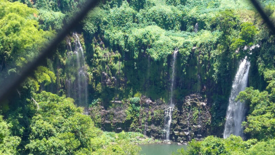 carpe diem ngo balfour